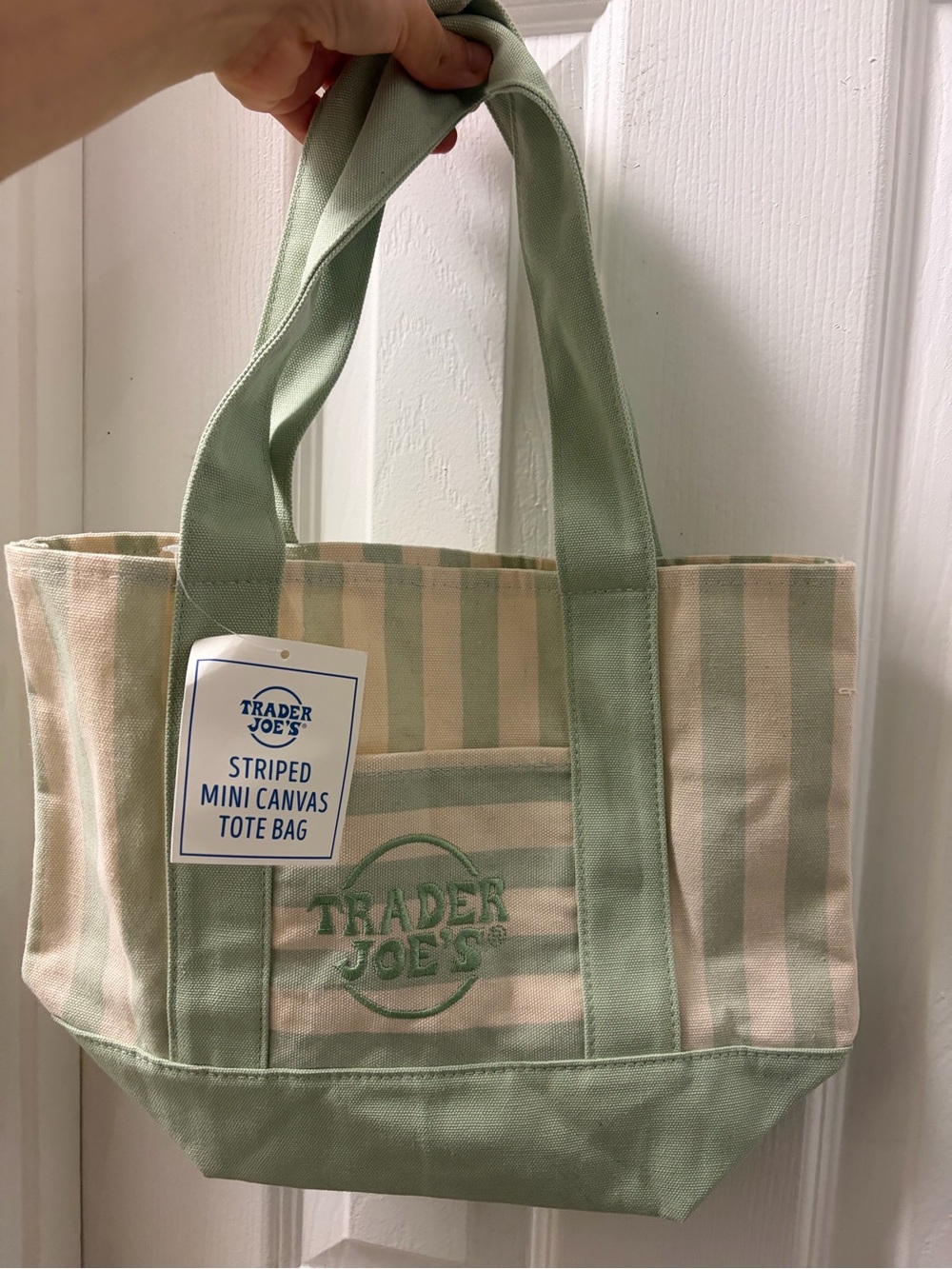 Striped Mini Canvas Tote Bag in Sage Green
